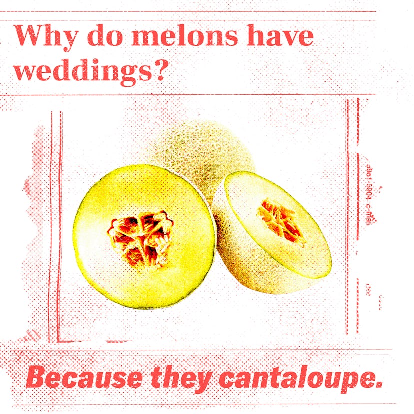 Corny jokes: Why Do Melons Have Weddings?