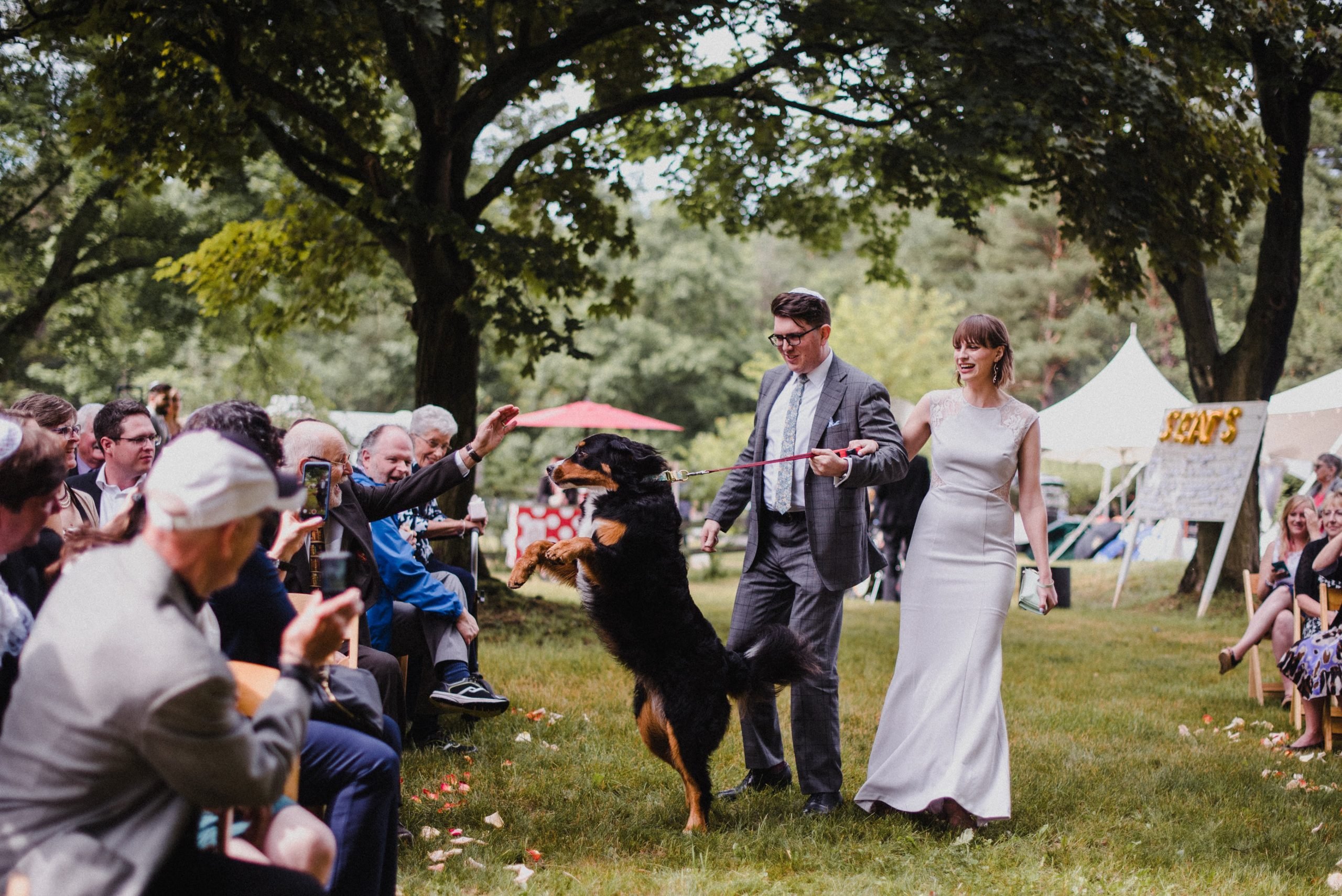 dog at wedding