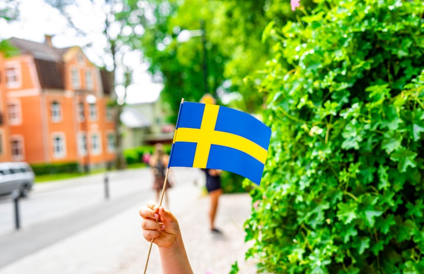 Young girl holding a swedish flag