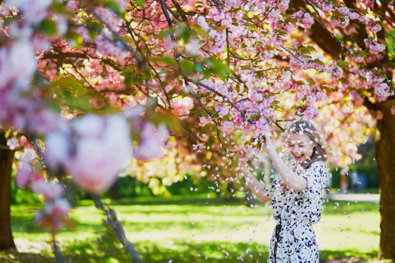 Beautiful young woman enjoying sunny day in park during cherry blossom season on a nice spring day.