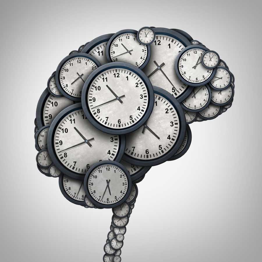 Time Brain - a brain made out of all clocks.